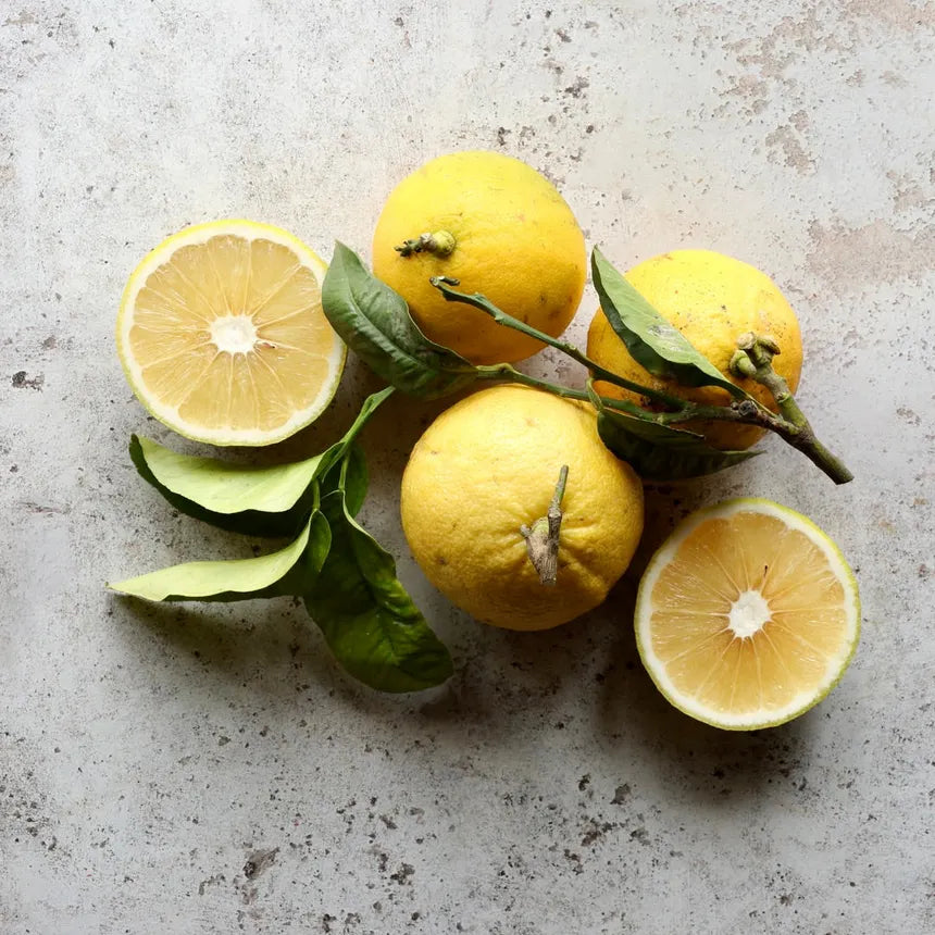 Calabrian_Bergamot