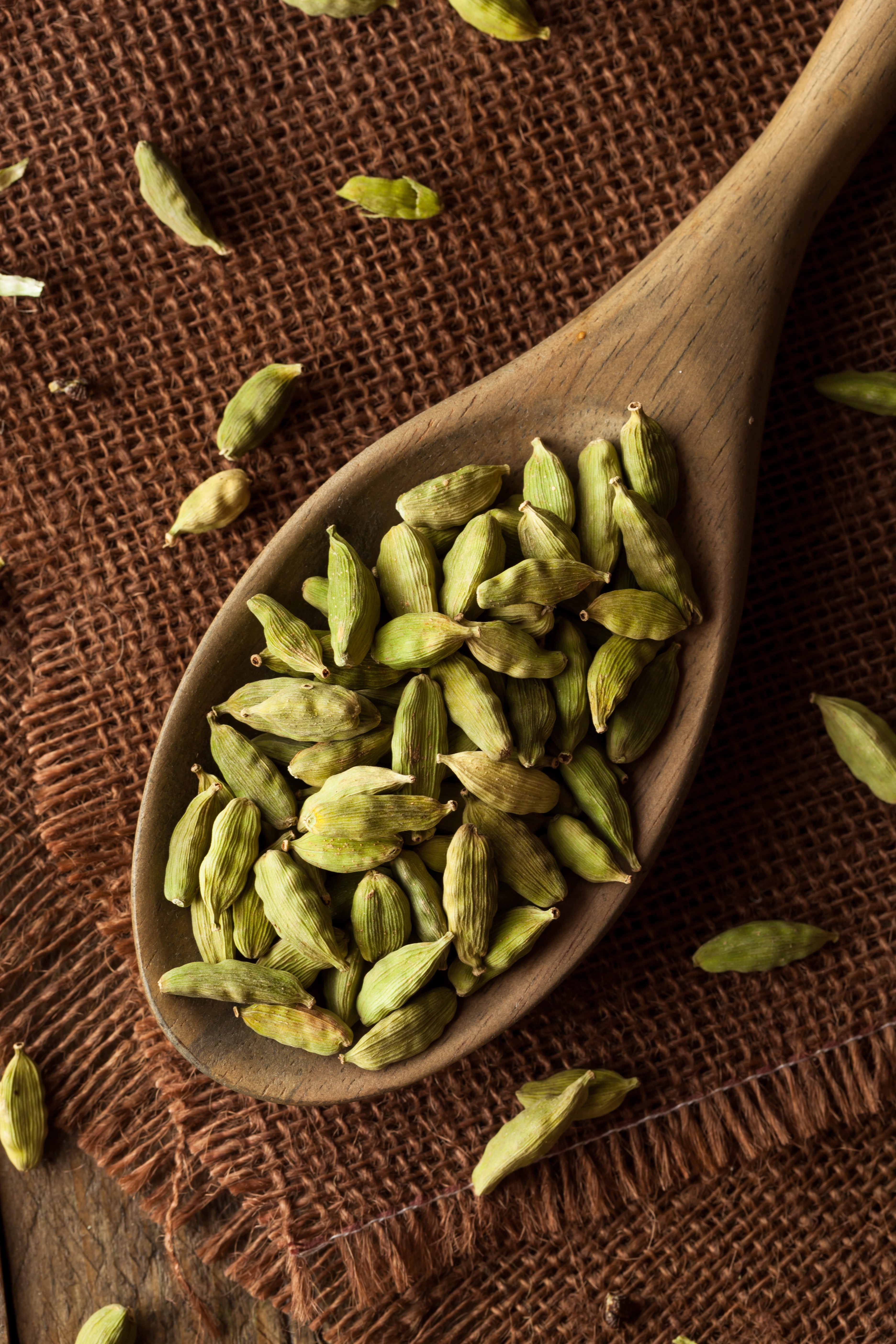 Cardamom