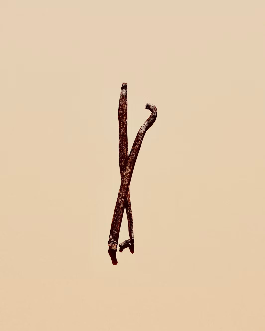 Vanilla