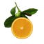 champagne mandarin