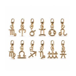 Zodiac Symbol Charm
