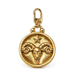 14K Zodiac Medallion