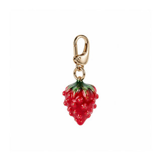 Raspberry – Small