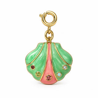 Rainbow Scallop Shell