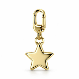 14K Polished Star Slide