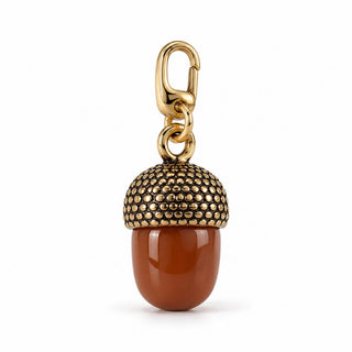 Acorn
